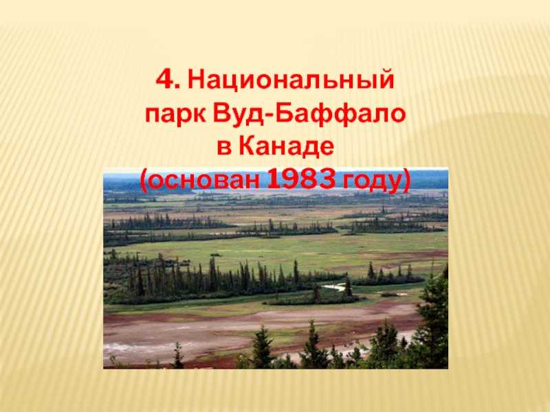 Парки секвойя и кингз-каньон – куда сходить и что посмотреть