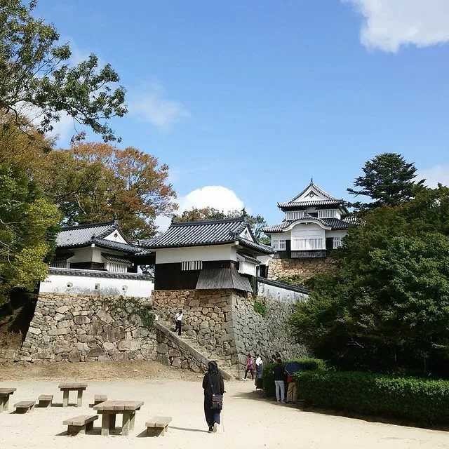 Такаяма, гифу - takayama, gifu - abcdef.wiki