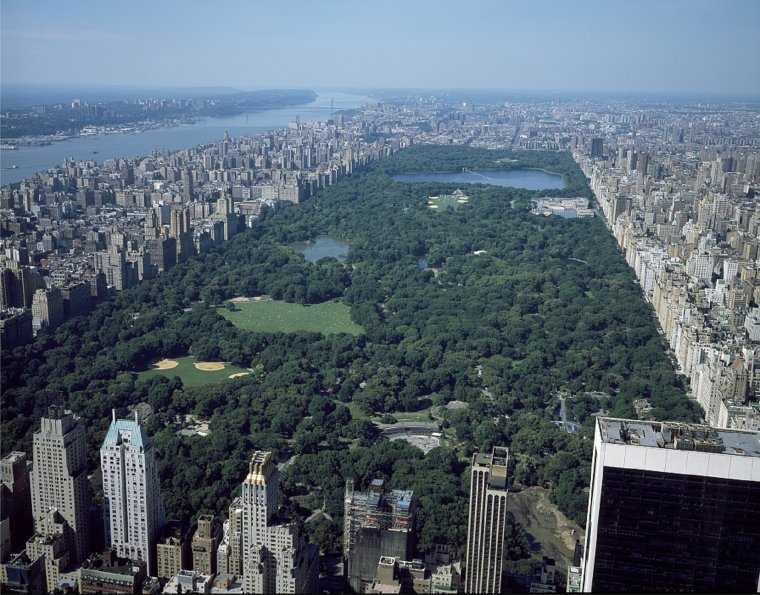 Центральный парк — самый красивый, известный и популярный парк Нью-Йорка. Он занимает площадь 3,4 кв. километра. Его строительство началось уже в 1853 году, когда в растущем очень быстрыми темпами городе было решено создать неприкосновенный зеленый участо