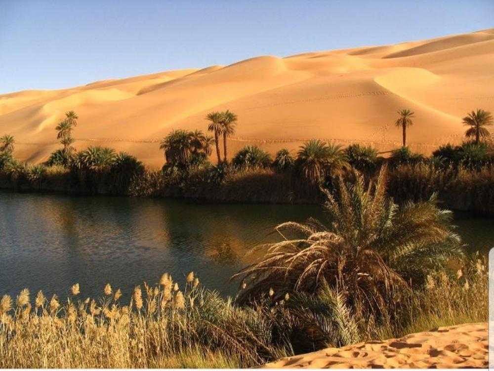 Оазисы создать. Оазис Убари в Египте. Пустыня сахара Оазис. Оазис в Африке. Убари Ливия.