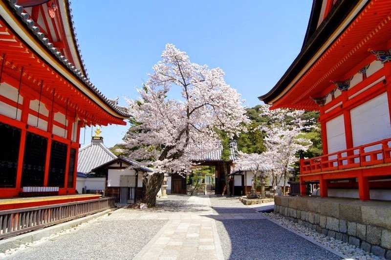 Японская буддийская архитектура - japanese buddhist architecture - abcdef.wiki