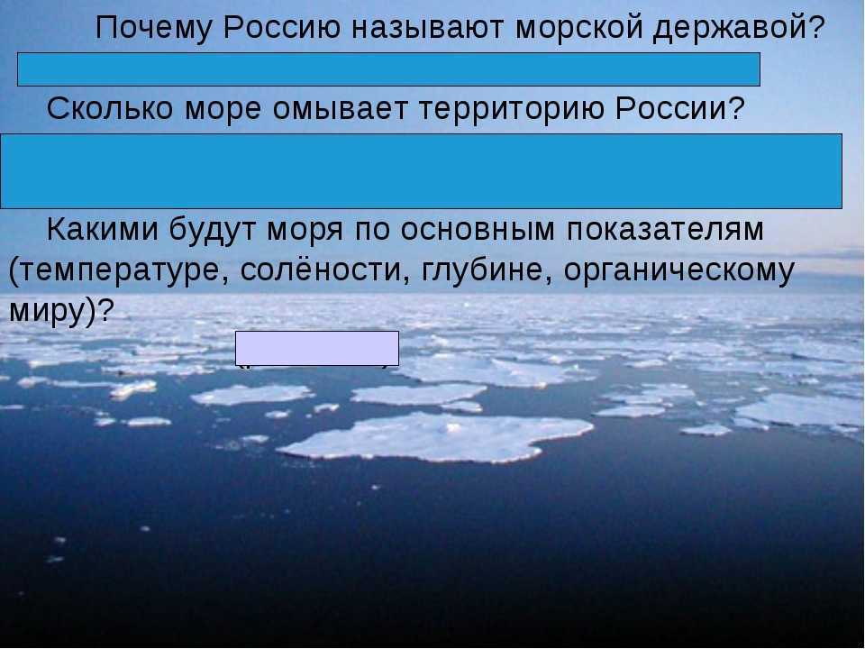 Сколько морей на земле. Моря омывающие Россию презентация. Почему Россию называют морской державой. С севера территорию России омывают моря. Количество морей омывающих территорию России.