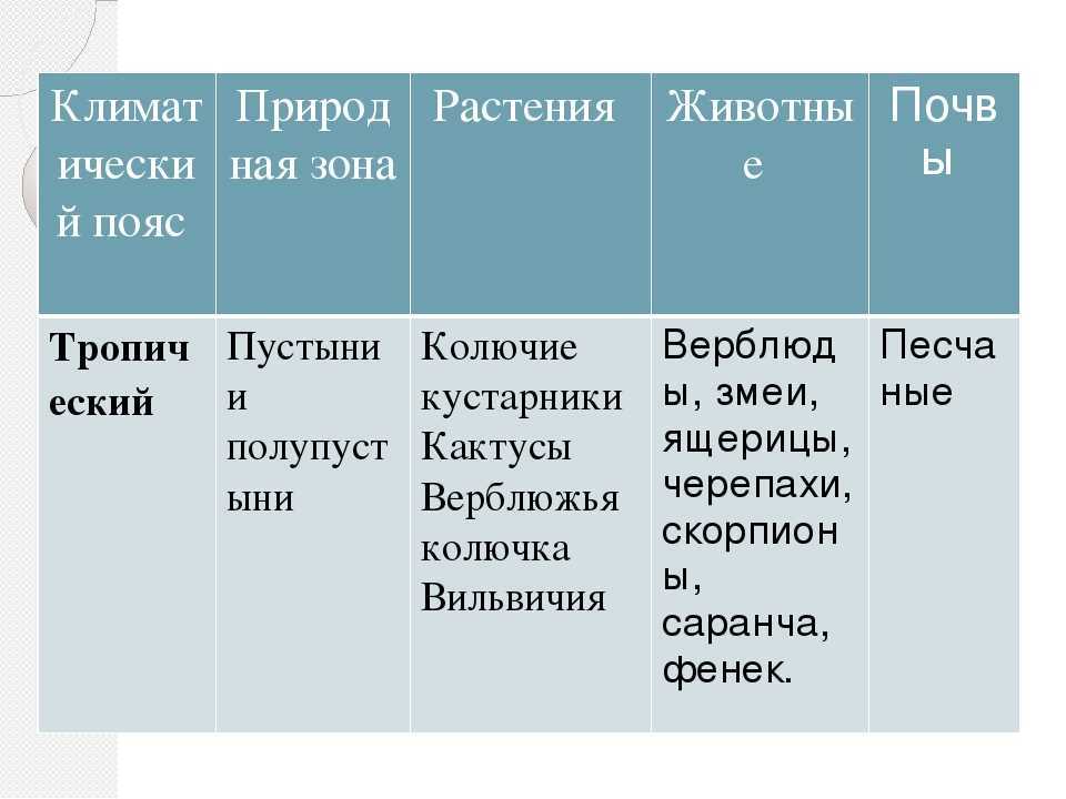 Что такое саванна, растения африканской степи, географическое положение саванны в африке, растительный мир и животные бразильской саванны, климатический пояс