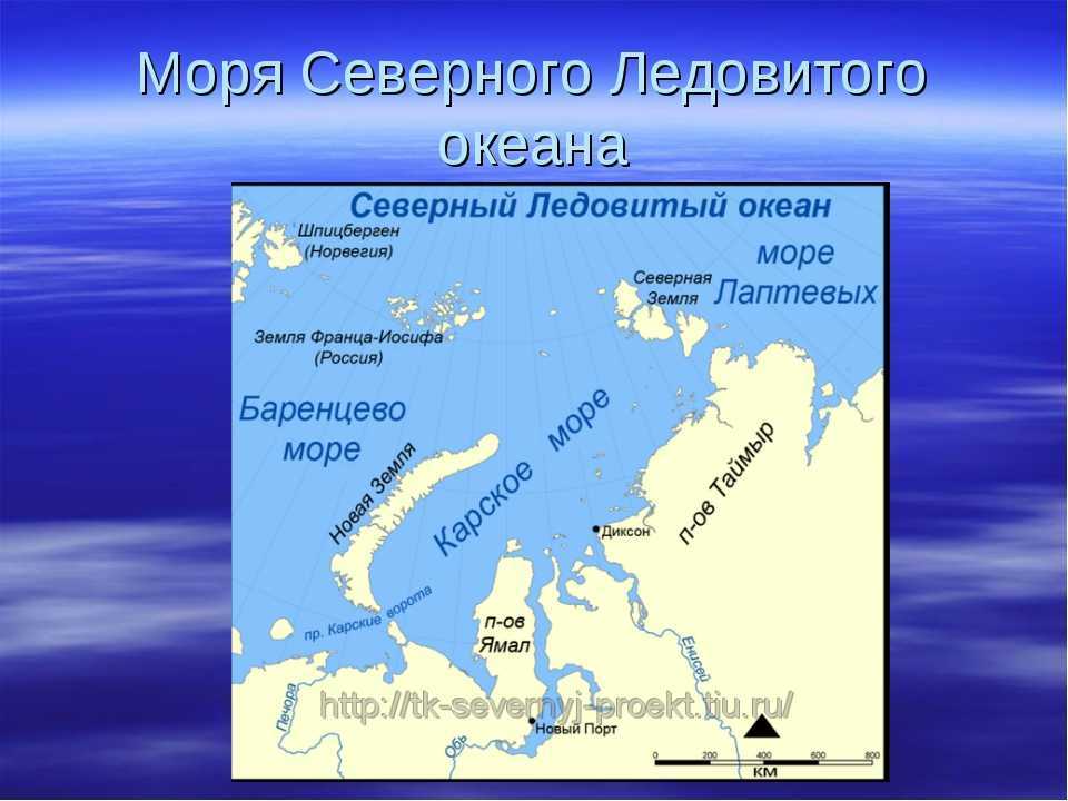 Каком океане находится архипелаг тезка нашей области. Моря Северного Ледовитого океана. Моря Северного Ледовитого океана на карте. Моря Северо лядовитого океана. Моря Северного Ледовитого океана список.