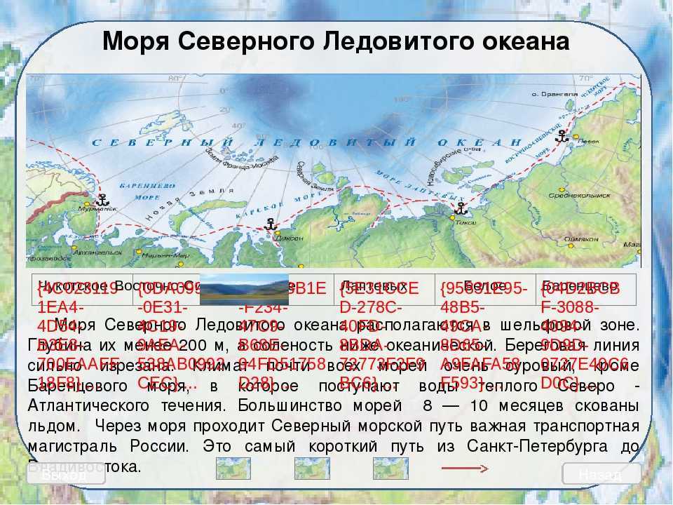 Моря северного ледовитого океана - названия, описание и карта — природа мира