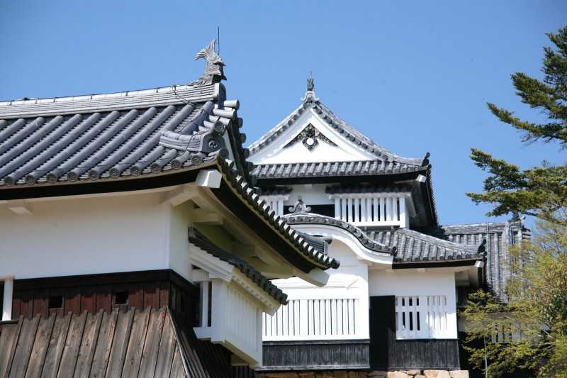 Аэропорт мацуяма (matsuyama), япония, заказ авиабилетов