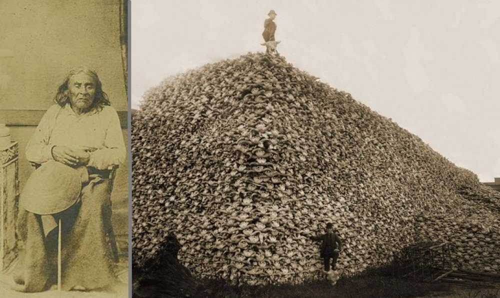 Национальный музей американских индейцев, вашингтон (сша): история, фото, как добраться, адрес
на карте и время работы в 2021 - 2022