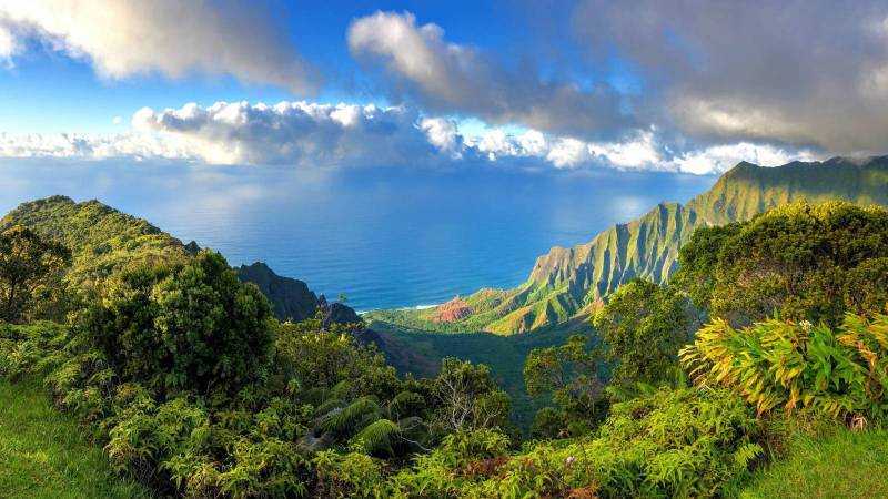 Гавайи (остров) - hawaii (island)