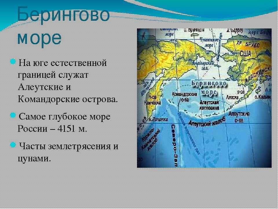 Берингово море презентация