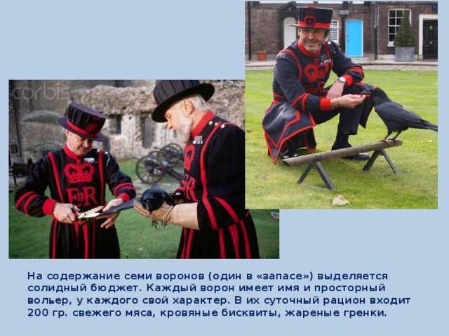 Лондонский тауэр. интересная и полезная информация