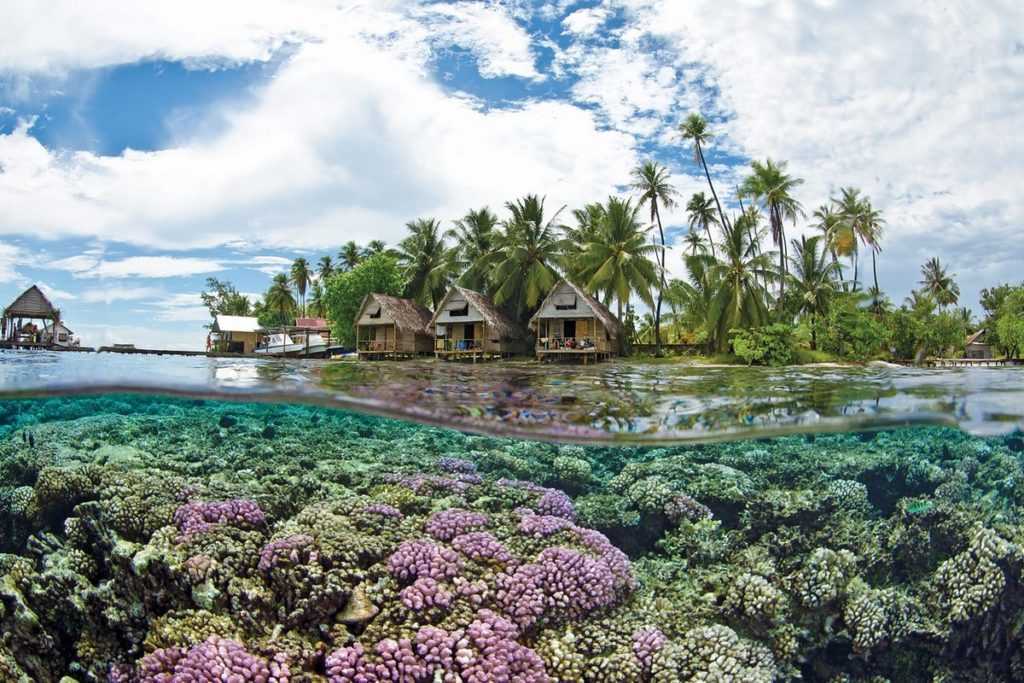 Гавайи (остров) - hawaii (island)
