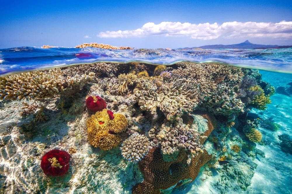 Самые живописные моря планеты