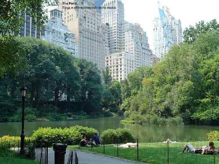 Центральный парк сайт. Центральный парк Нью-Йорк. Центральный парк Нью Йорк водоем. Центрального парка Нью-Йорка. Парк Красногвардейские пруды Нью Йорк.