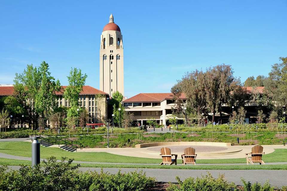 Stanford university — e-xecutive.ru