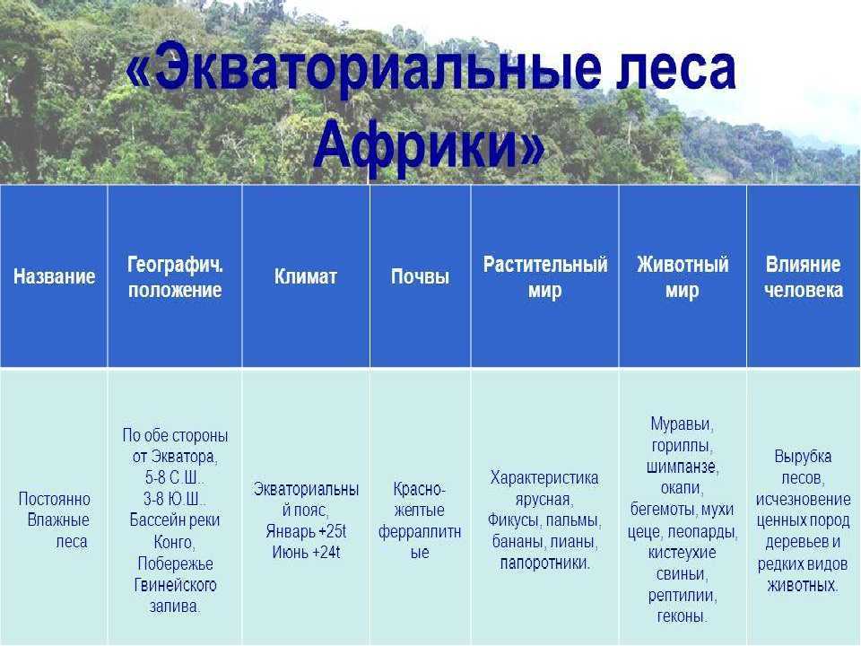 Что такое саванны и где они находятся? саванны южной америки