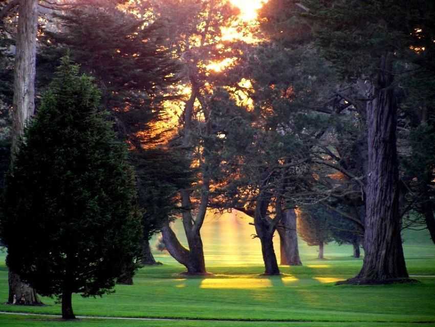 Департамент отдыха и парков сан-франциско - san francisco recreation & parks department