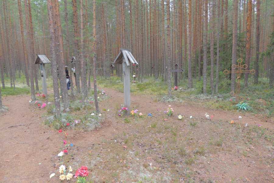 Скала медведь-камень и ермаково городище — ураловед