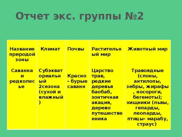 Подробная карта Саванны на русском языке с отмеченными достопримечательностями города. Саванна со спутника
