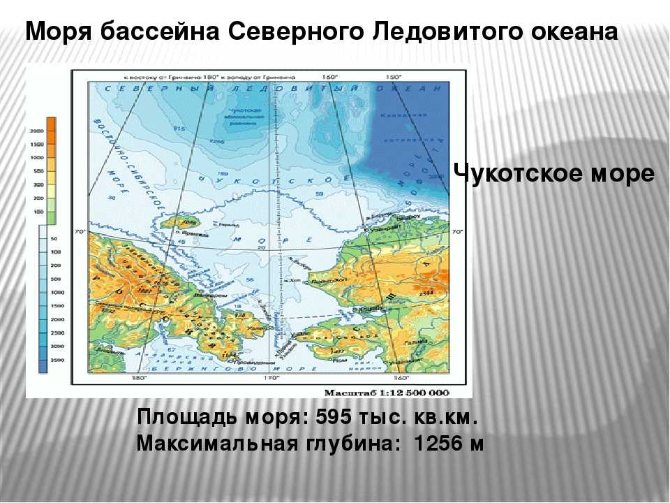 🚩 особенно ценные рыбы северных морей: что именно в них обитает