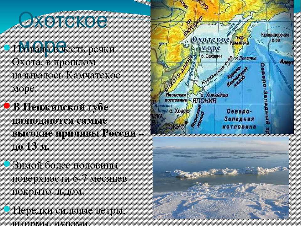 Териберка: северное сияние, кладбище кораблей, заснеженные пляжи