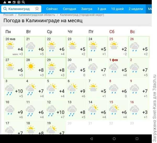 Погода в шарлотсвилле на неделю