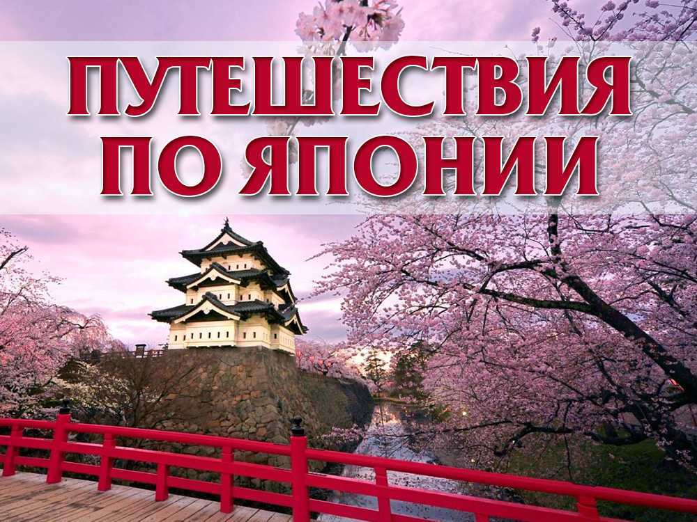 Японская иена: полное руководство о jpy