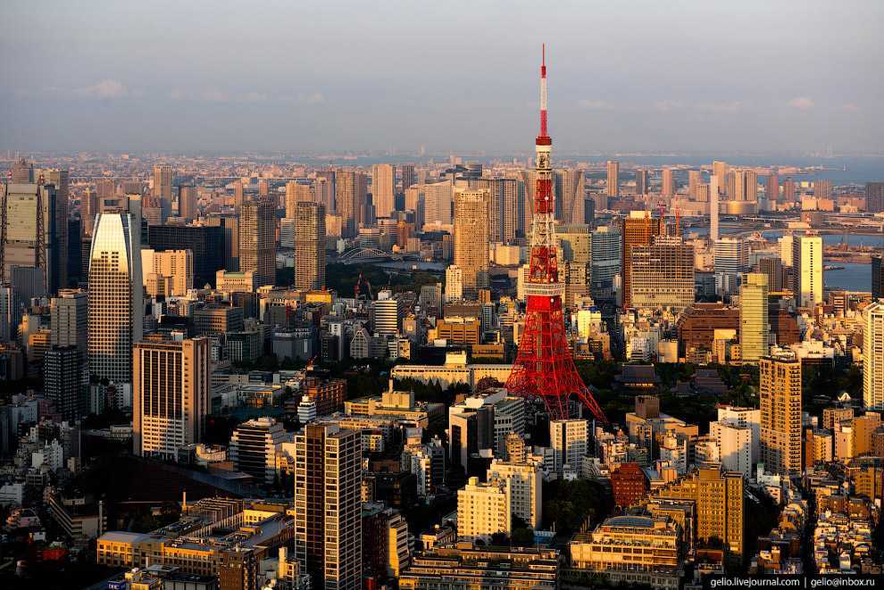 Город токио – столица современной японии