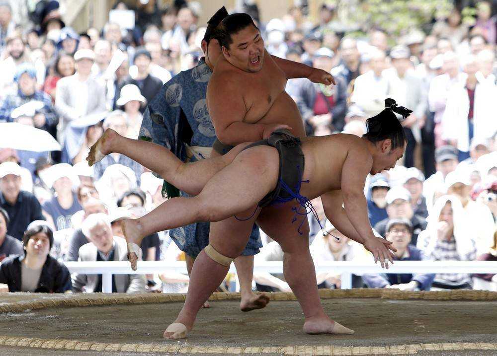 Традиционные и современные виды спорта в японии - miuki mikado • виртуальная япония