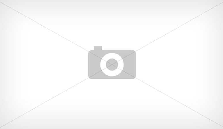 Подводный мир: кристально чистая горная река верзаска в фотоработах клаудио газзароли
