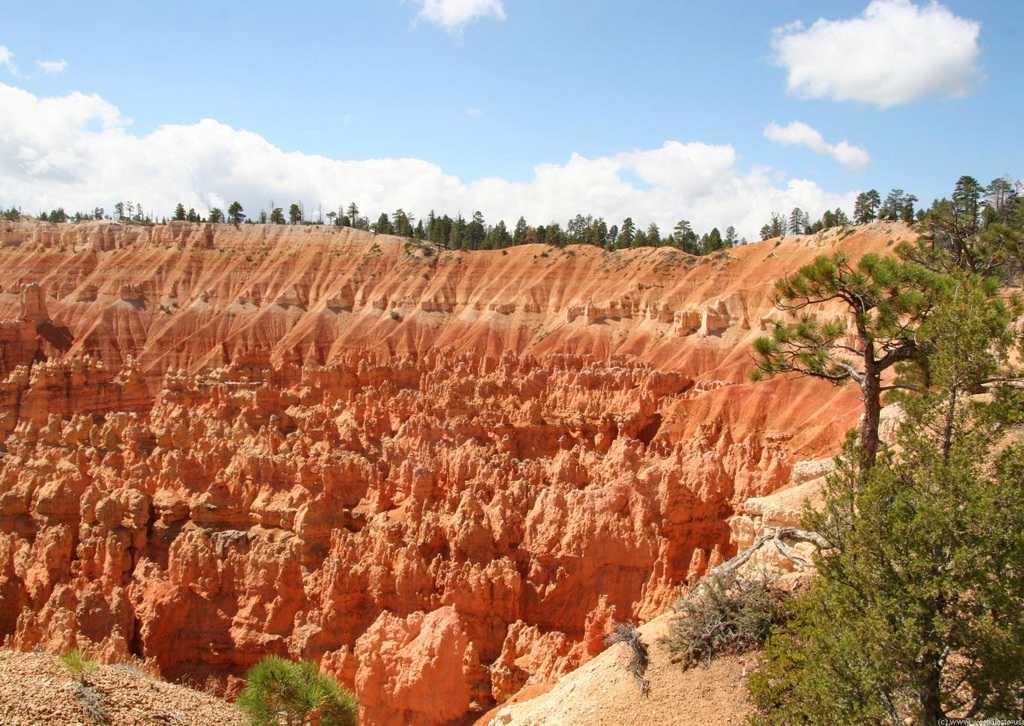 Canyon 10. Природный амфитеатр в Аризоне. Каньон сегу в мали фото.