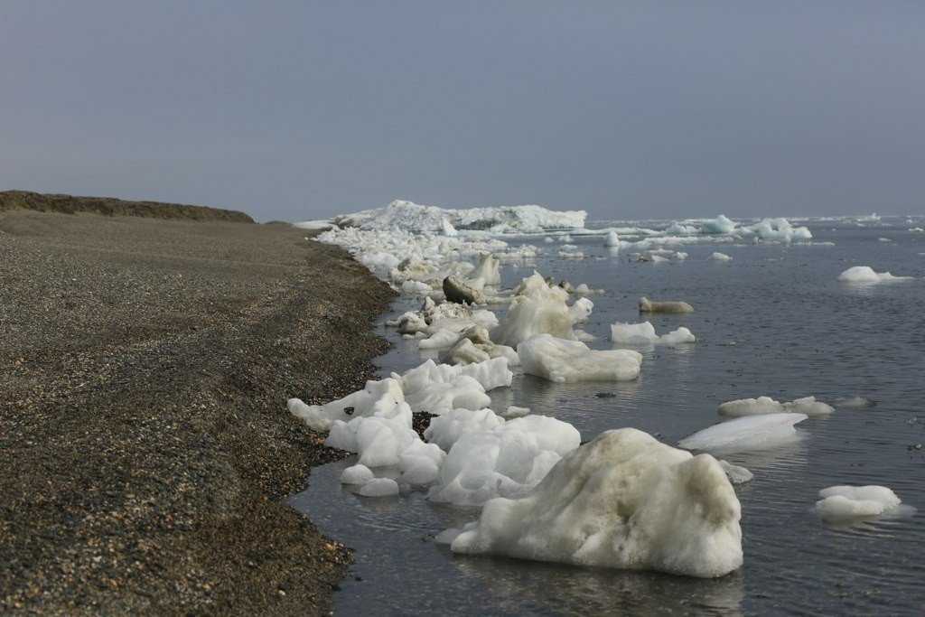 Чукотское море - chukchi sea - abcdef.wiki