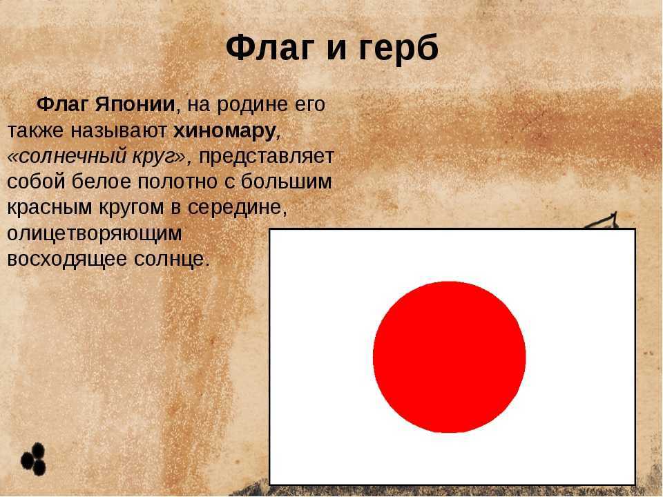 Хризантема – символ японии. японский взгляд