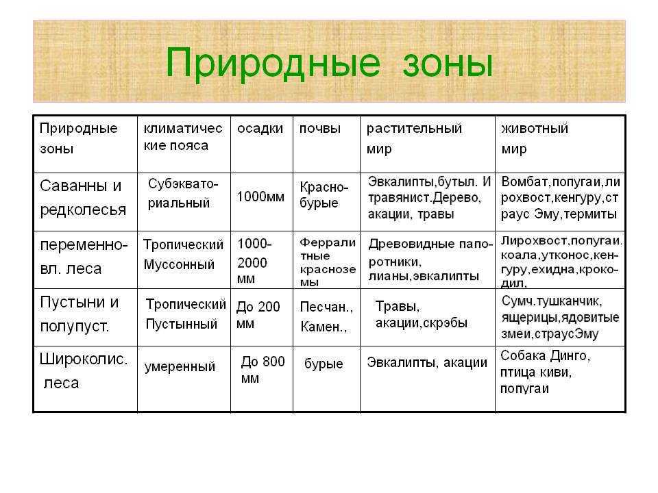 Саванна - savanna