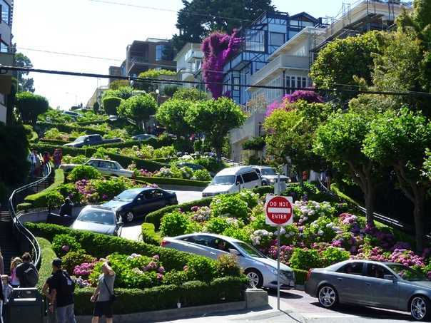 Сан-франциско: гуляем по ломбард-стрит, самой кривой улице в мире