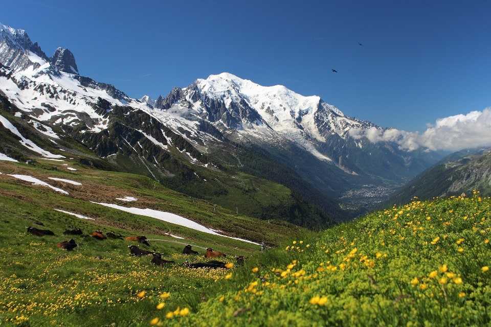 Альпы (alpes) - горы во франции. описание горной системы альпы