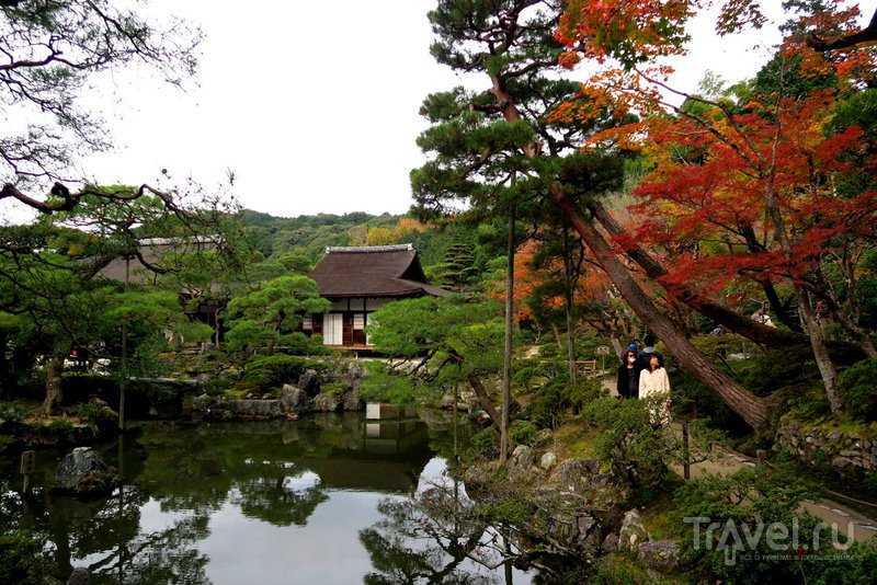 Все достопримечательности киото: замок нидзё и храм фусими инари - путевые заметки алексея онегина