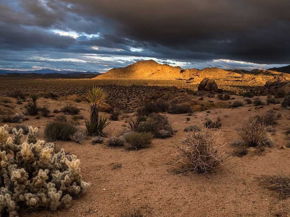 Список пустынь - list of deserts - abcdef.wiki