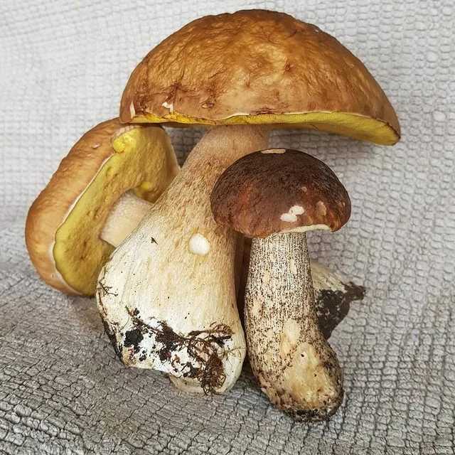 Кайрфилли