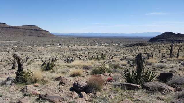 Список пустынь северной америки - list of north american deserts - abcdef.wiki