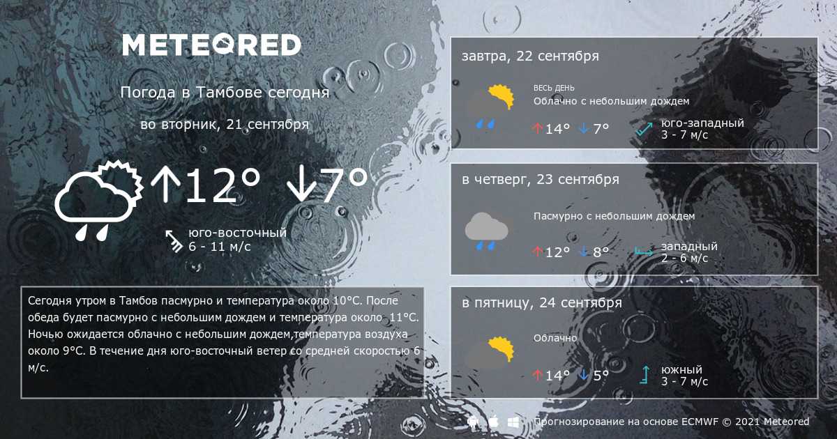 Погода в чикаго на 7 дней (неделю) и сейчас, прогноз погоды и данные по климату чикаго от гидрометцентра и гисметео: температура воздуха, воды, осадки по месяцам