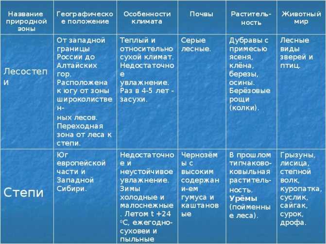 Подробная карта саванна на русском языке, карта саванна с достопримечательностями и отелями