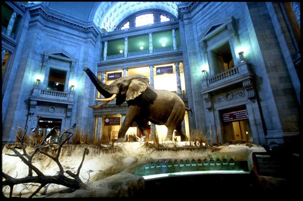 Список смитсоновских музеев - list of smithsonian museums - abcdef.wiki