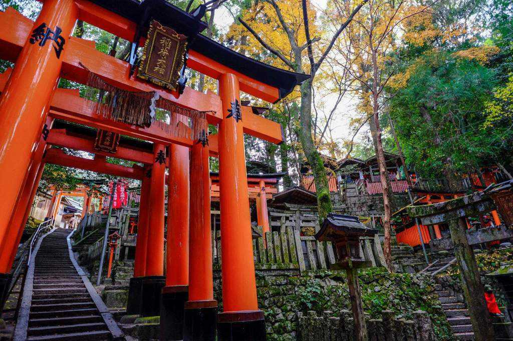 Япония: фусими инари, храм тысячи торий