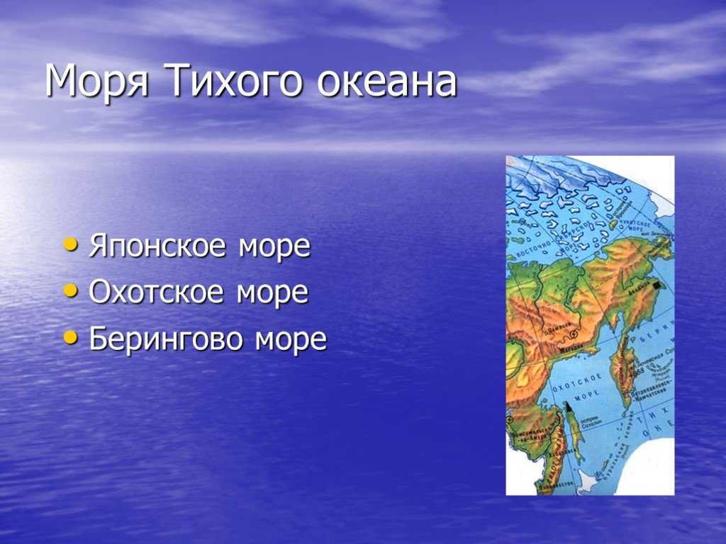 Берингово море: характеристики, формирование, биоразнообразие и угрозы | сетевая метеорология