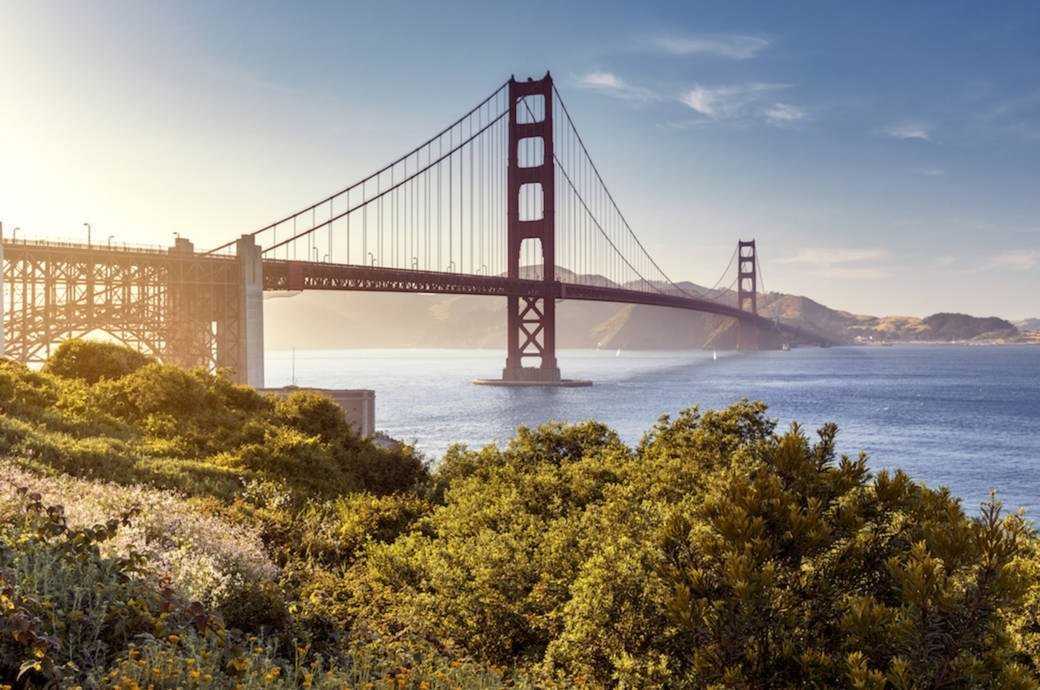 Джентрификация сан-франциско - gentrification of san francisco